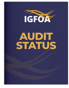 thumbnail detail of IGFOA Status of the Single Audits Across Insular Governments print