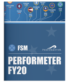 thumbnail detail of FSM Performeter FY20 print