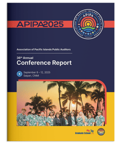 thumbnail detail of APIPA 2025 Conference Report print